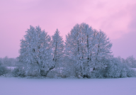 zima, zdroj: www.pixabay.com, CCO